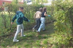 IMG_0001-2025-05-04T120759.170