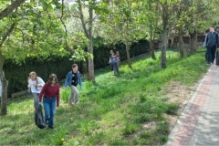 IMG_0002-2025-05-04T120738.563
