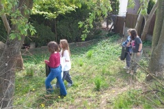 IMG_0004-2025-05-04T120750.291