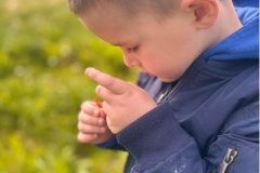 IMG_0000-2025-06-27T113005.176