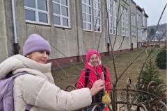 IMG_0000-2025-02-15T123318.270